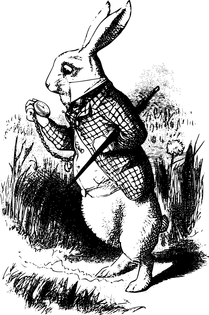 探索卡罗尔的奇幻世界，从爱丽丝梦游仙境到文学与心理学的深度
